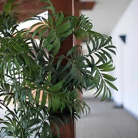 Hotel Am Park - Willich - Duesseldorf - Krefeld
