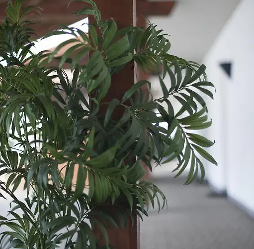 Am Park - Krefeld - Düsseldorf Willich